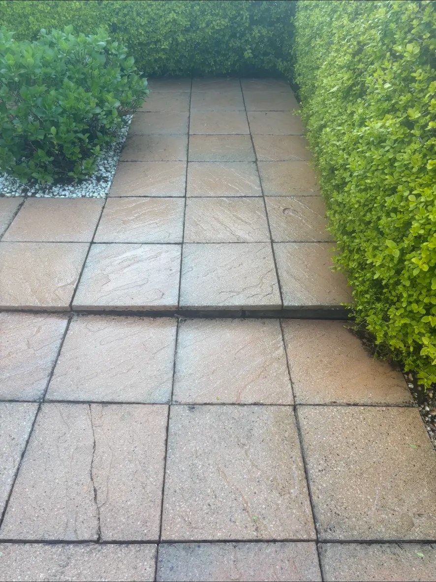 Non-Pressure Patio Cleaning in Edinburgh and the Lothians