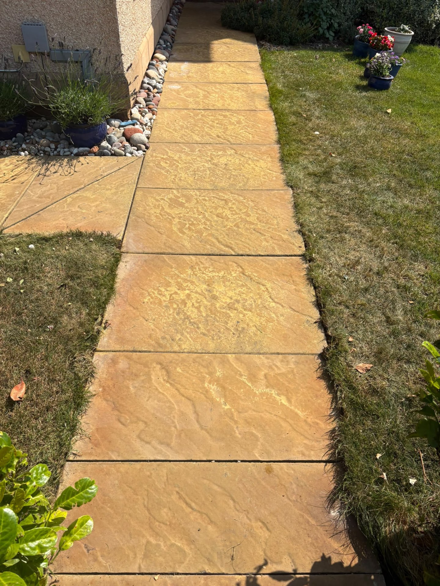 Clean buff slab garden path after power washing in East Lothian